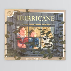 HURRICANE （おおああらし）