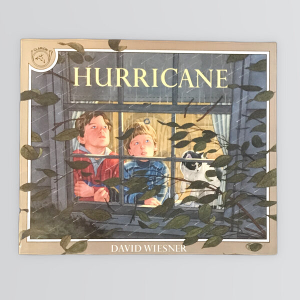 HURRICANE （おおああらし）