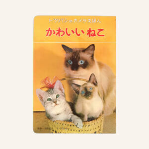 トッパンのカメラえほん　かわいいねこ