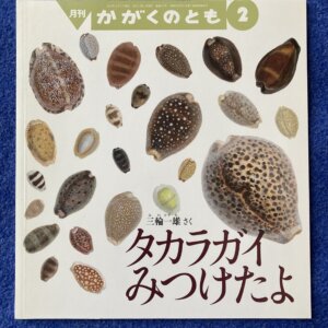 タカラガイをみつけたよ　月刊かがくのとも　2012年2月号
