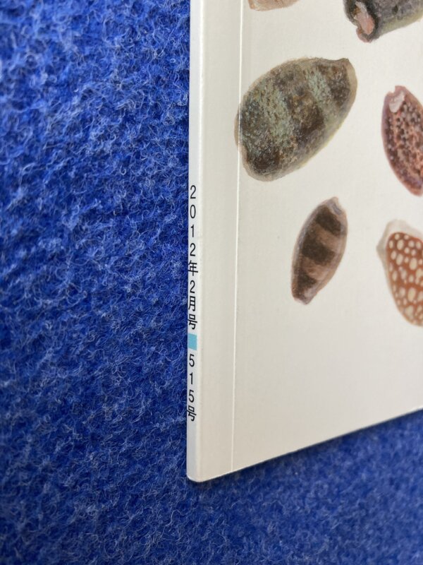 タカラガイをみつけたよ　月刊かがくのとも　2012年2月号 - 画像 (3)