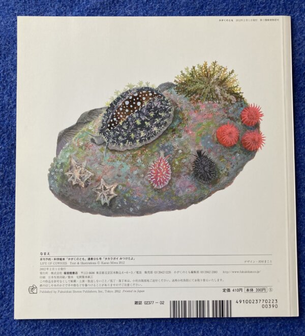 タカラガイをみつけたよ　月刊かがくのとも　2012年2月号 - 画像 (6)