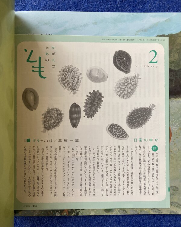 タカラガイをみつけたよ　月刊かがくのとも　2012年2月号 - 画像 (7)