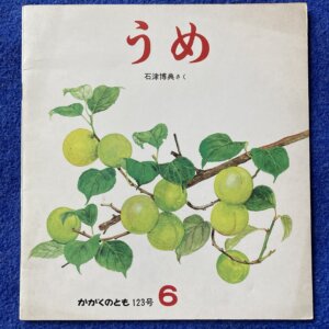 うめ　かがくのとも　1979年　6月号　123号