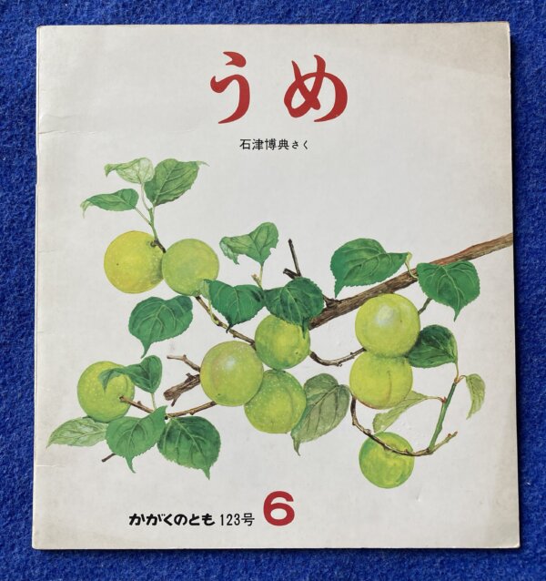 うめ　かがくのとも　1979年　6月号　123号