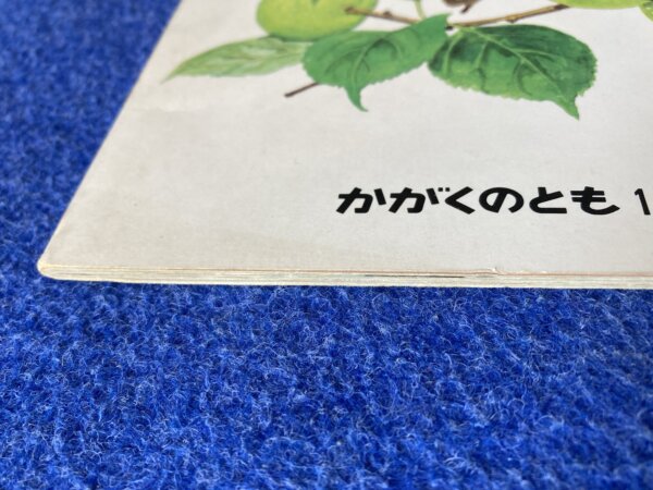 うめ　かがくのとも　1979年　6月号　123号 - 画像 (7)