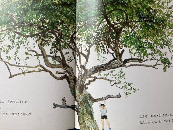 うめ　かがくのとも　1979年　6月号　123号 - 画像 (14)