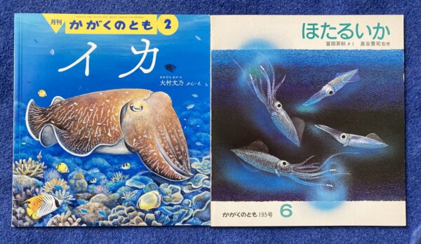 【かがくのとも　イカセット】①いか　②ほたるいか - 画像 (2)