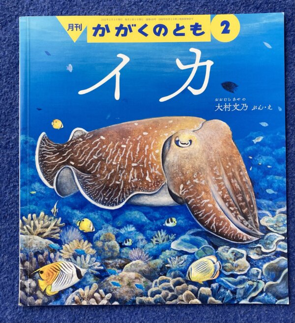 【かがくのとも　イカセット】①いか　②ほたるいか - 画像 (6)