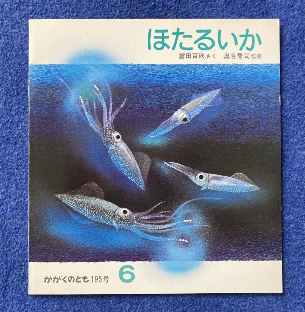 【かがくのとも　イカセット】①いか　②ほたるいか - 画像 (11)