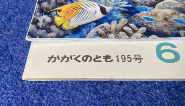 【かがくのとも　イカセット】①いか　②ほたるいか - 画像 (5)