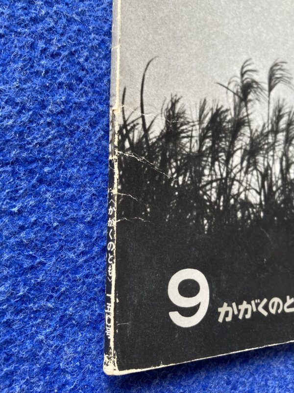 かがくのとも　つき　1981年　9月号 - 画像 (3)