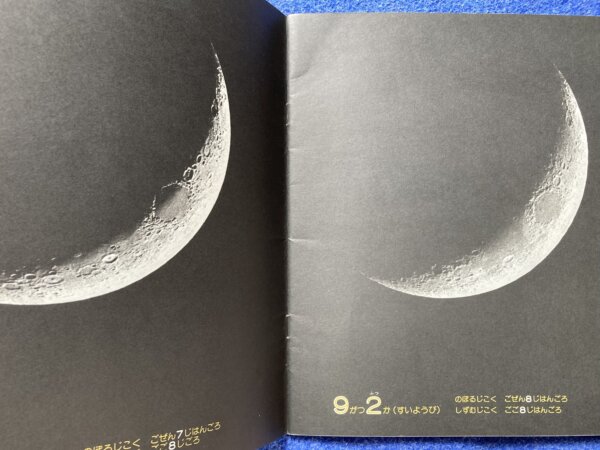 かがくのとも　つき　1981年　9月号 - 画像 (9)
