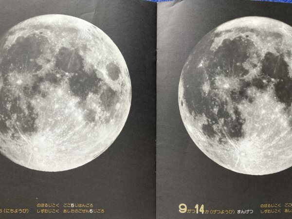 かがくのとも　つき　1981年　9月号 - 画像 (10)