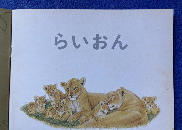 かがくのとも　らいおん　1974年　4月号（121号） - 画像 (7)