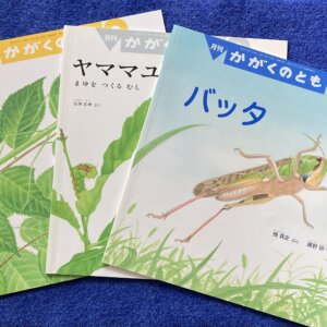 【かがくのとも　夏の虫3冊セット】　①ナナフシ　②ヤママユ　③バッタ