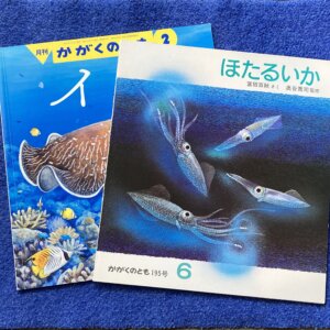 【かがくのとも　イカセット】①いか　②ほたるいか