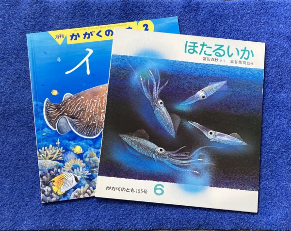 【かがくのとも　イカセット】①いか　②ほたるいか