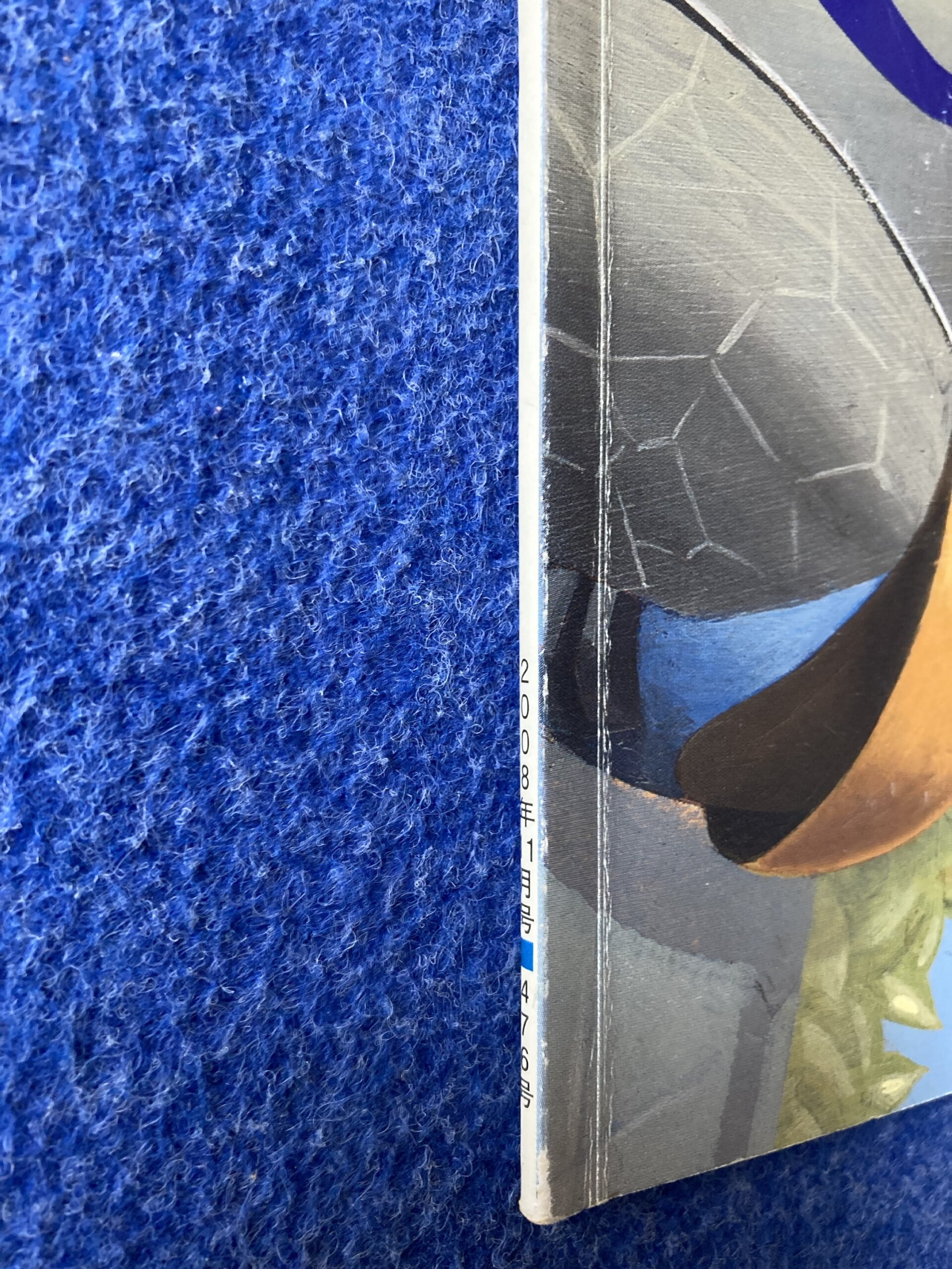 かがくのとも でんちゅう 2008年11月号 - 画像 (4)