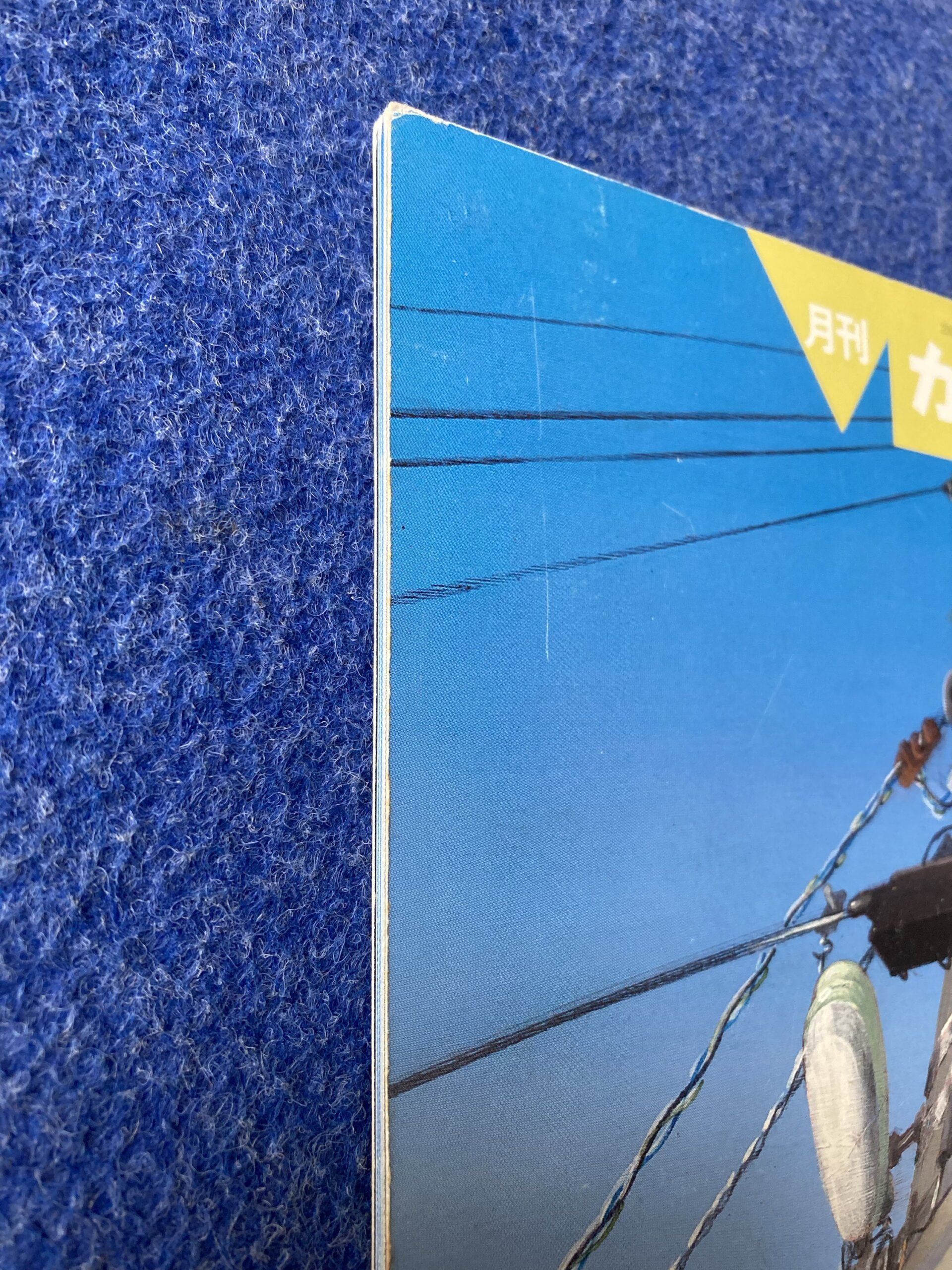 かがくのとも でんちゅう 2008年11月号 - 画像 (5)