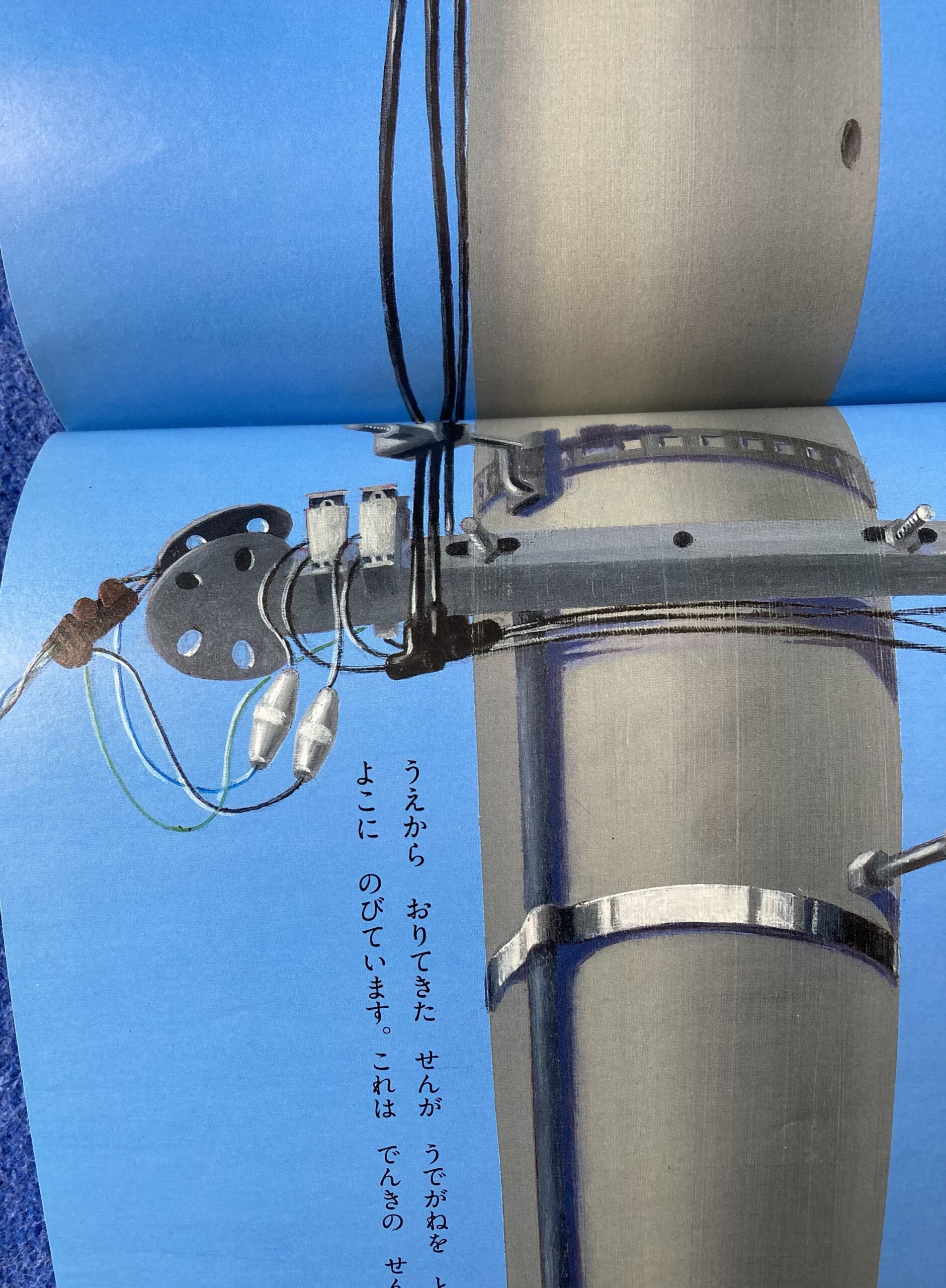 かがくのとも でんちゅう 2008年11月号 - 画像 (13)