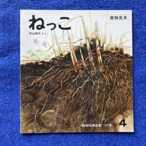 かがくのとも　ねっこ　1982年4月号　157号