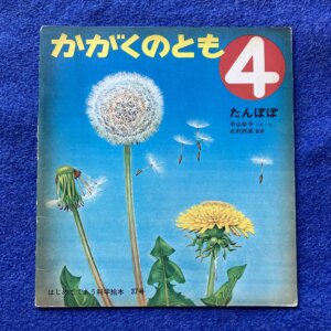 かがくのとも　たんぽぽ　1972年4月号37号