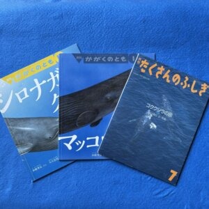 かがくのとも　くじらセット